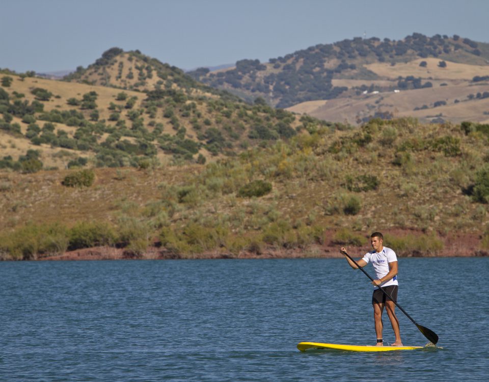 paddle surf